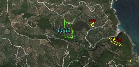 Αγροτεμάχια 8.538τ.μ. για πώληση-Αφέτες » Συκή