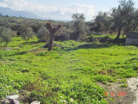Land plot 960 sqm for sale