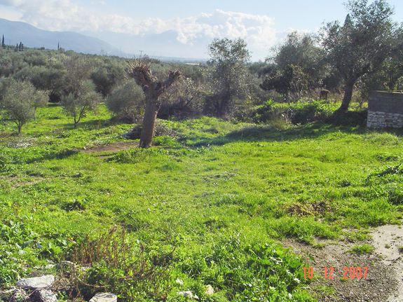 Land plot 960 sqm for sale, Messinia, Androusa