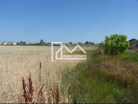 Αγροτεμάχια 4.452 τ.μ. για πώληση