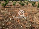 Land plot 638sqm for sale-Artemida (Loutsa) » Ypapanti