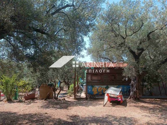 Αγροτεμάχια 15.000 τ.μ. για πώληση, Εβρος, Αλεξανδρούπολη