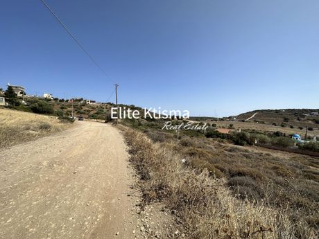 Αγροτεμάχια 10.500τ.μ. για πώληση-Κερατέα » Κέντρο