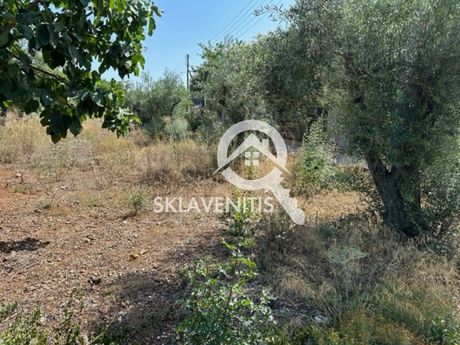 Οικόπεδο 1.242τ.μ. για πώληση-Αρτέμιδα (λούτσα) » Μεσοβάρδα