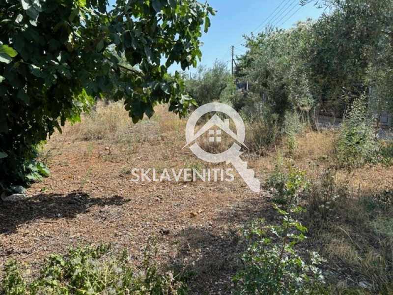 Οικόπεδο 1.242 τ.μ. πρός πώληση, Αθήνα - Ανατολικά Προάστια, Αρτέμιδα (λούτσα)