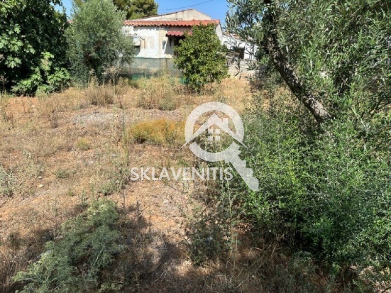 Οικόπεδο 1.242 τ.μ. πρός πώληση, Αθήνα - Ανατολικά Προάστια, Αρτέμιδα (λούτσα)