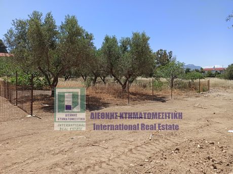 Land plot 450sqm for sale-Alepoxori