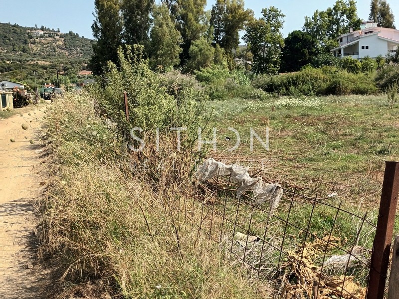 Αγροτεμάχια 6.117 τ.μ. προς πώληση, Σάρτη