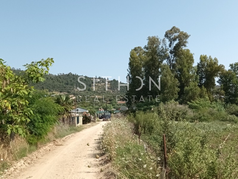 Αγροτεμάχια 6.117 τ.μ. προς πώληση, Σάρτη