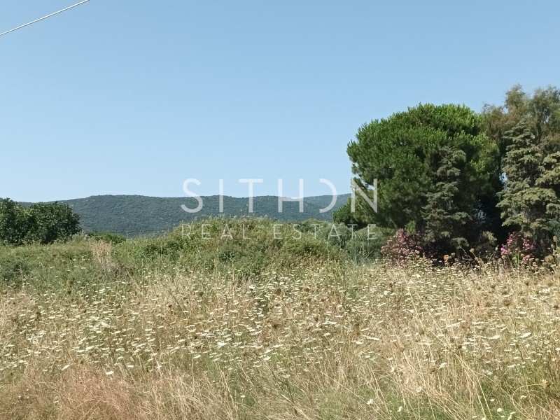 Αγροτεμάχια 4.301 τ.μ. προς πώληση, Σάρτη