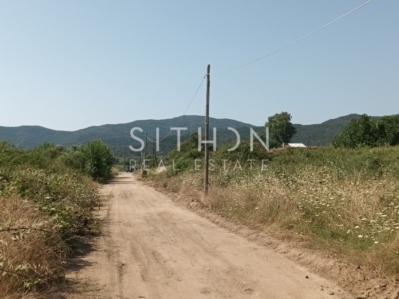Αγροτεμάχια 4.301 τ.μ. προς πώληση, Σάρτη
