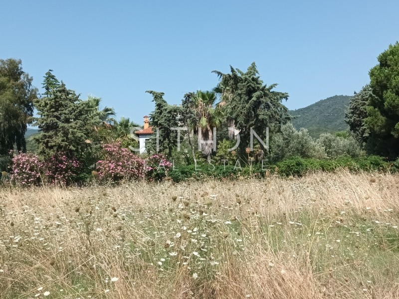 Αγροτεμάχια 4.301 τ.μ. προς πώληση, Σάρτη