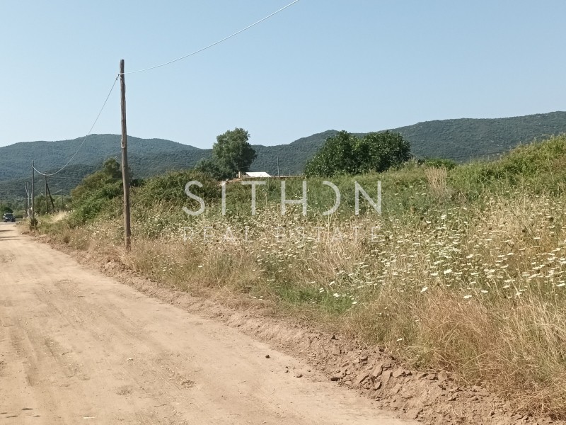Αγροτεμάχια 4.301 τ.μ. προς πώληση, Σάρτη