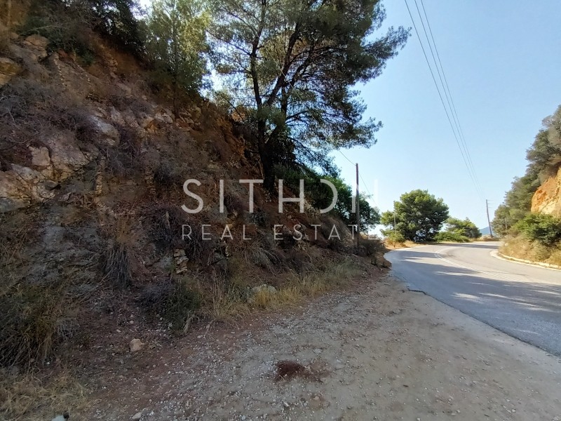 Αγροτεμάχια 7.826 τ.μ. προς πώληση, Σάρτη