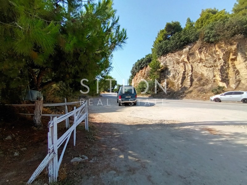 Αγροτεμάχια 7.826 τ.μ. προς πώληση, Σάρτη