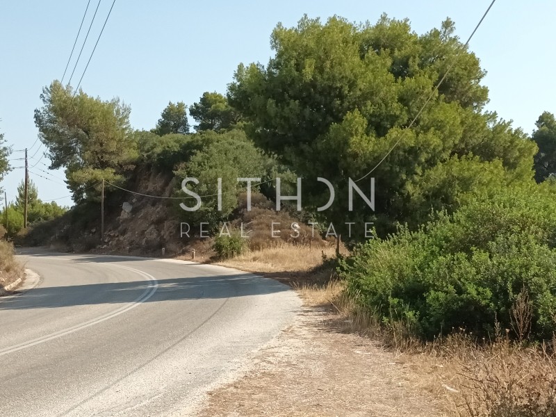Αγροτεμάχια 7.826 τ.μ. προς πώληση, Σάρτη