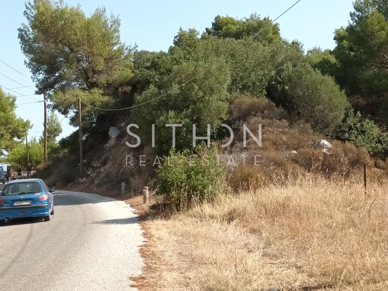 Αγροτεμάχια 7.826 τ.μ. προς πώληση, Σάρτη