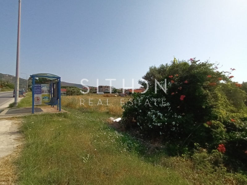 Αγροτεμάχια 2.178 τ.μ. προς πώληση, Σάρτη