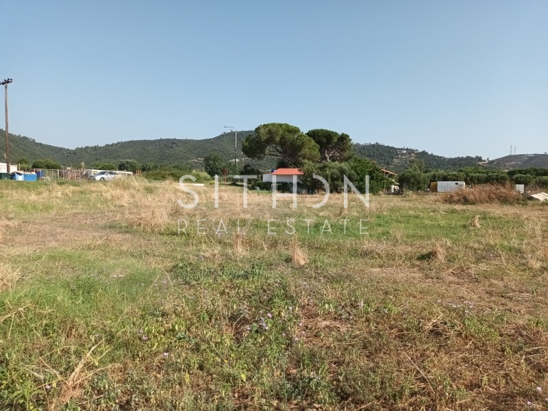 Αγροτεμάχια 2.178 τ.μ. προς πώληση, Σάρτη