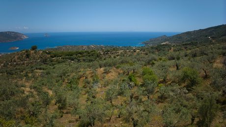 Αγροτεμάχια 3.738τ.μ. για πώληση-Τροιζήνα » Γαλατάς