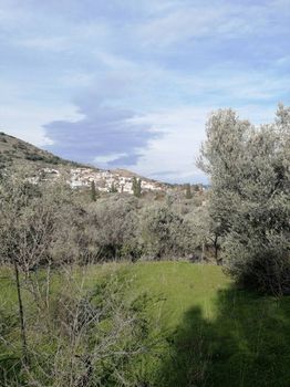 Land plot 2.255sqm for sale-Chios » Kardamila