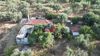 Μονοκατοικία 75 τ.μ. για πώληση