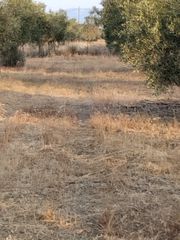 Αγροτεμάχια 2.500 τ.μ. για πώληση, Εύβοια, Αυλίδα-thumb-1