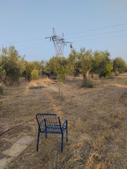 Αγροτεμάχια 2.500 τ.μ. για πώληση, Εύβοια, Αυλίδα-thumb-5