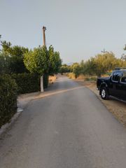 Αγροτεμάχια 2.500 τ.μ. για πώληση, Εύβοια, Αυλίδα-thumb-10