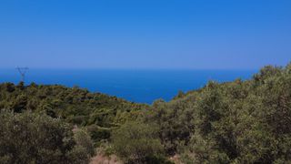 Αγροτεμάχια 7.460 τ.μ. για πώληση