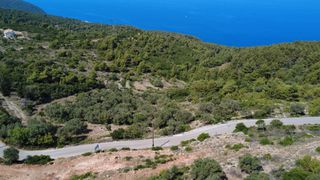 Αγροτεμάχια 7.460 τ.μ. για πώληση, Ν. Λευκάδας, Λευκάδα-thumb-2