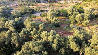 Αγροτεμάχια 7.460 τ.μ. για πώληση, Ν. Λευκάδας, Λευκάδα-thumb-10