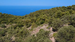 Αγροτεμάχια 7.460 τ.μ. για πώληση, Ν. Λευκάδας, Λευκάδα-thumb-1