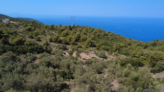 Αγροτεμάχια 7.460 τ.μ. για πώληση, Ν. Λευκάδας, Λευκάδα-thumb-6