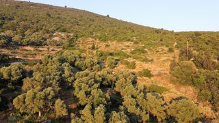 Αγροτεμάχια 7.460 τ.μ. για πώληση, Ν. Λευκάδας, Λευκάδα-thumb-12