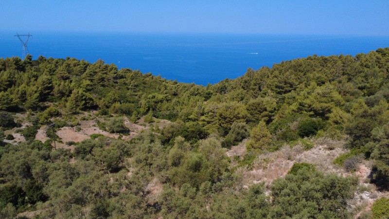 Αγροτεμάχια 7.460 τ.μ. πρός πώληση, Ν. Λευκάδας, Λευκάδα