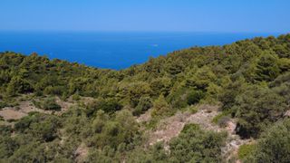 Αγροτεμάχια 7.460 τ.μ. για πώληση, Ν. Λευκάδας, Λευκάδα-thumb-7