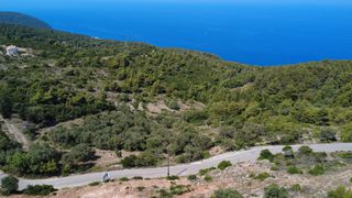 Αγροτεμάχια 7.460 τ.μ. για πώληση, Ν. Λευκάδας, Λευκάδα-thumb-3