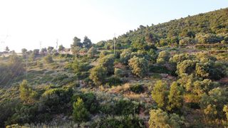 Αγροτεμάχια 7.460 τ.μ. για πώληση, Ν. Λευκάδας, Λευκάδα-thumb-13