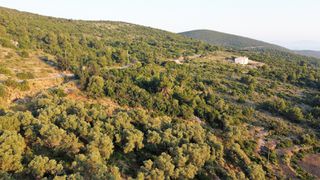 Αγροτεμάχια 7.460 τ.μ. για πώληση, Ν. Λευκάδας, Λευκάδα-thumb-11