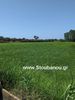 Parcel 6.827sqm for sale-Amaliada » Roviata