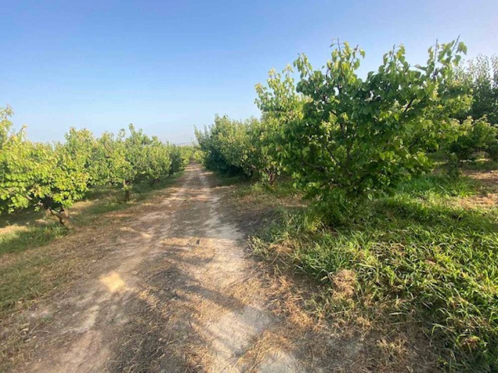 Οικόπεδο 19.200 τ.μ. πρός πώληση, Κορινθία, Βέλο