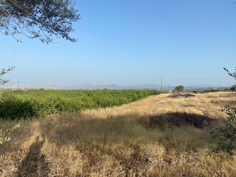 Οικόπεδο 19.200 τ.μ. πρός πώληση, Κορινθία, Βέλο