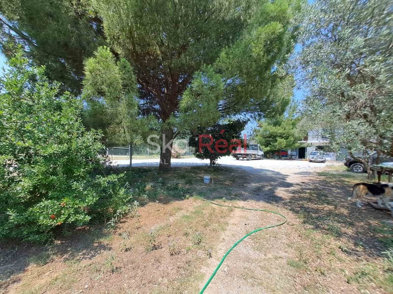 Αγροτεμάχια 9.200 τ.μ. προς πώληση, Κέντρο Θέρμης