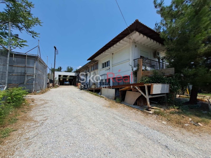 Αγροτεμάχια 9.200 τ.μ. προς πώληση, Κέντρο Θέρμης