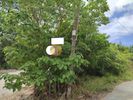 Οικόπεδο 303τ.μ. για πώληση-Μυγδονία » Λητή