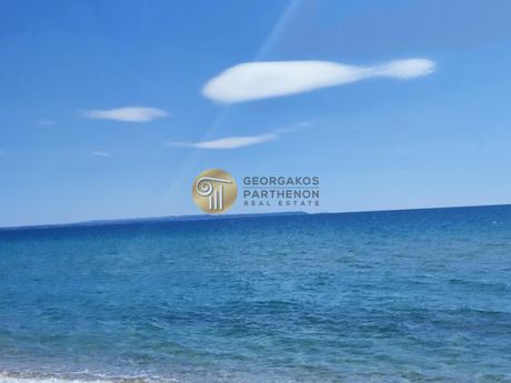 Επιχειρηματικό κτίριο 536τ.μ. για πώληση-Τριγλία » Νέα πλάγια
