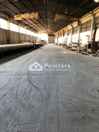 Industrial space 4.830 sqm for sale, Thessaloniki - Rest Of Prefecture, Agios Athanasios