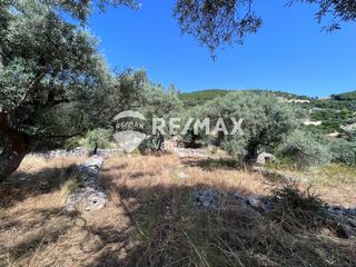 Αγροτεμάχια 9.600 τ.μ. για πώληση, Ν. Λευκάδας, Λευκάδα-thumb-15