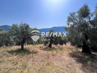 Αγροτεμάχια 9.600 τ.μ. για πώληση, Ν. Λευκάδας, Λευκάδα-thumb-16